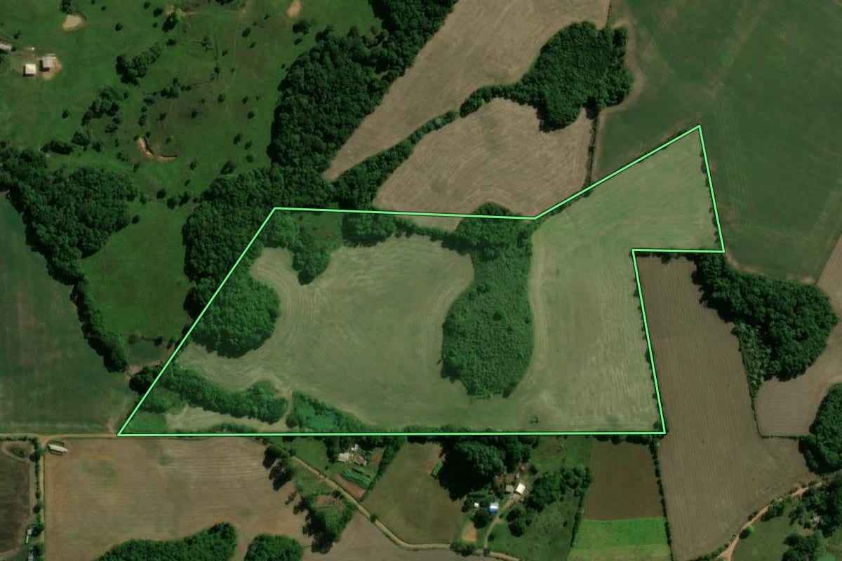 Imagem de satélite do imóvel rural em Machadinho (RS), com o contorno declarado no CAR desenhado por cima.