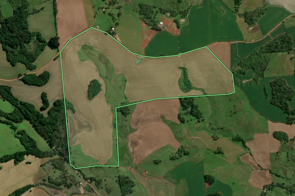 Imagem de satélite do imóvel rural em Machadinho (RS), com o contorno declarado no CAR desenhado por cima.