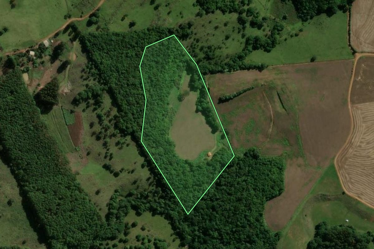 Imagem de satélite do imóvel rural em Machadinho (RS), com o contorno declarado no CAR desenhado por cima.