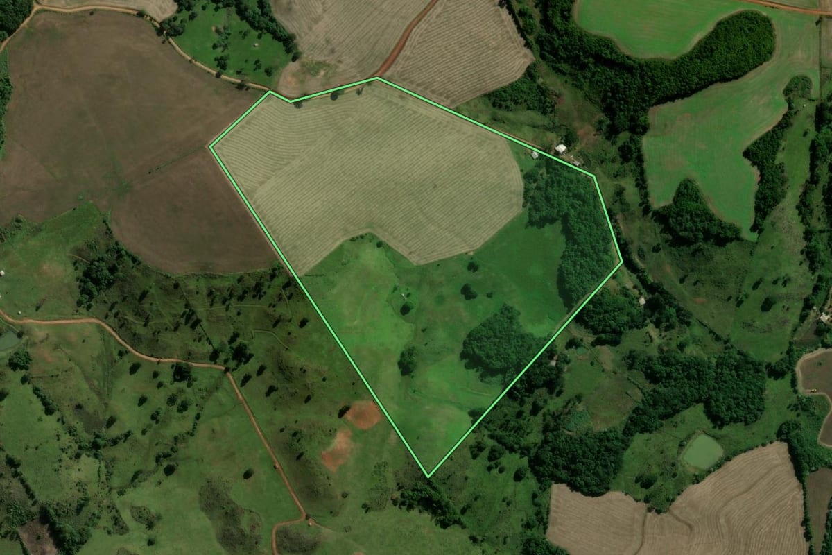 Imagem de satélite do imóvel rural em Machadinho (RS), com o contorno declarado no CAR desenhado por cima.