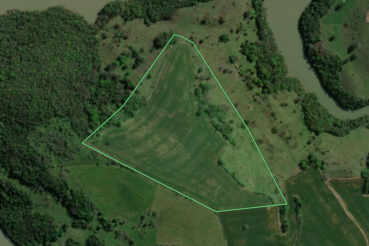 Imagem de satélite do imóvel rural em Machadinho (RS), com o contorno declarado no CAR desenhado por cima.