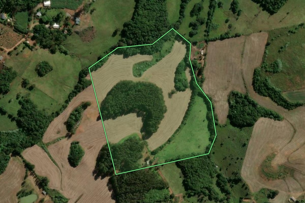 Imagem de satélite do imóvel rural em Machadinho (RS), com o contorno declarado no CAR desenhado por cima.