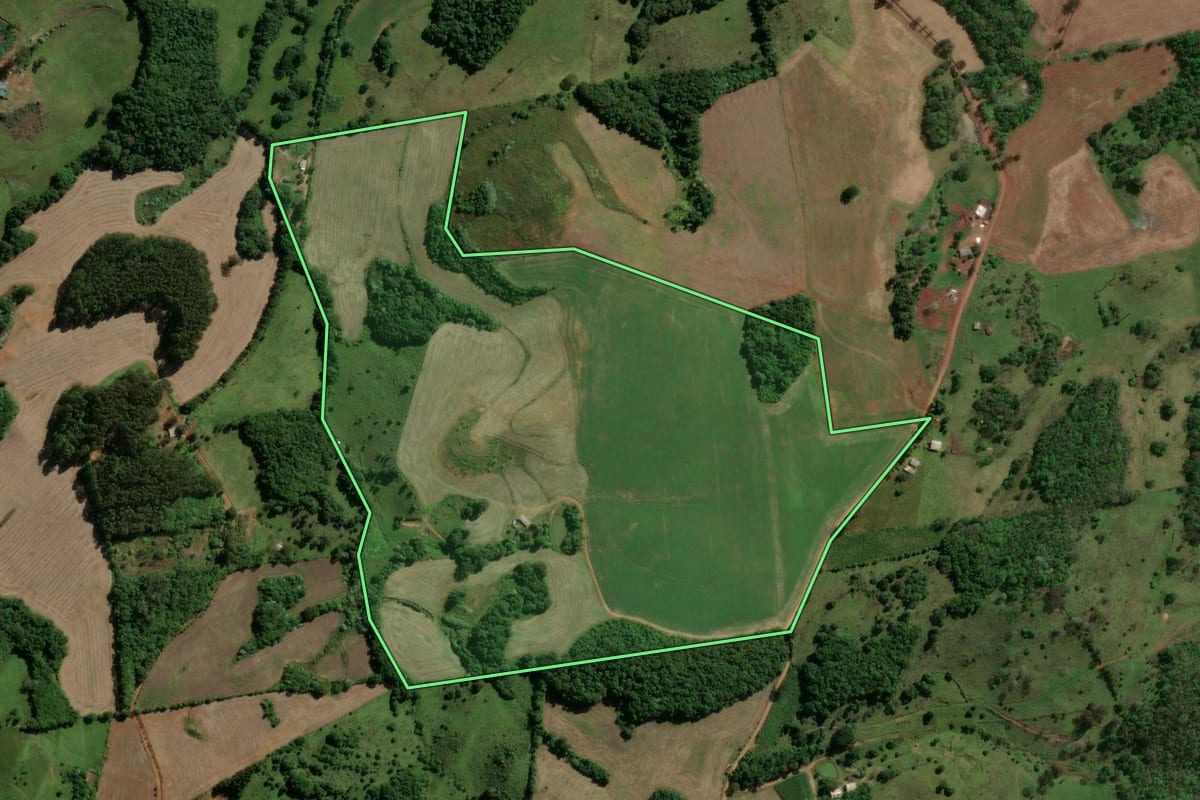 Imagem de satélite do imóvel rural em Machadinho (RS), com o contorno declarado no CAR desenhado por cima.