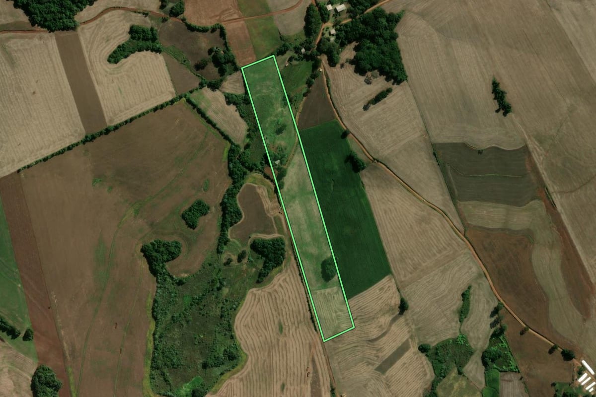 Imagem de satélite do imóvel rural em Machadinho (RS), com o contorno declarado no CAR desenhado por cima.