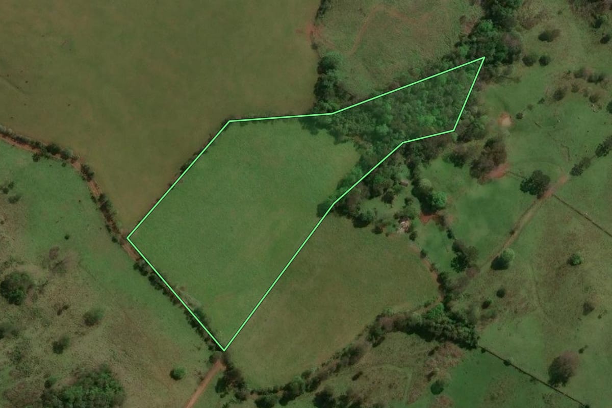 Imagem de satélite do imóvel rural em Machadinho (RS), com o contorno declarado no CAR desenhado por cima.