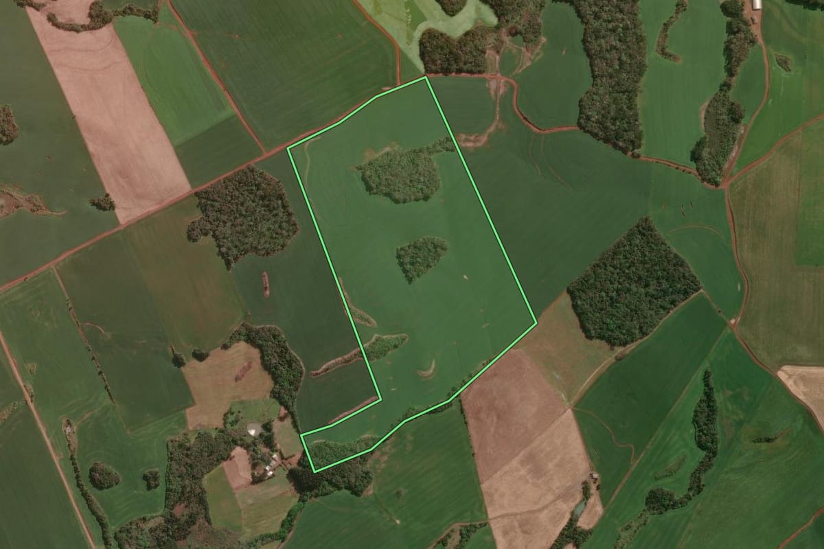 Imagem de satélite do imóvel rural em Machadinho (RS), com o contorno declarado no CAR desenhado por cima.