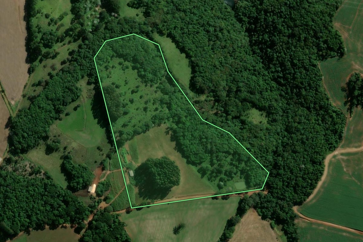 Imagem de satélite do imóvel rural em Machadinho (RS), com o contorno declarado no CAR desenhado por cima.