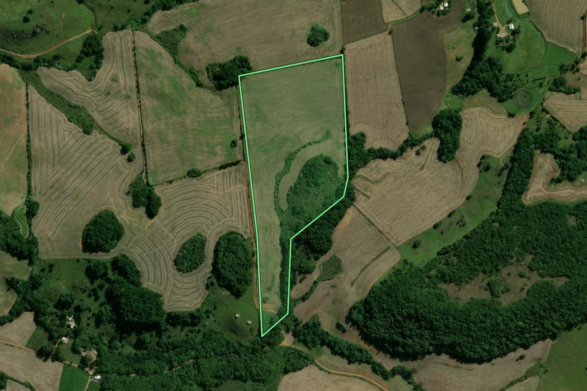 Imagem de satélite do imóvel rural em Machadinho (RS), com o contorno declarado no CAR desenhado por cima.