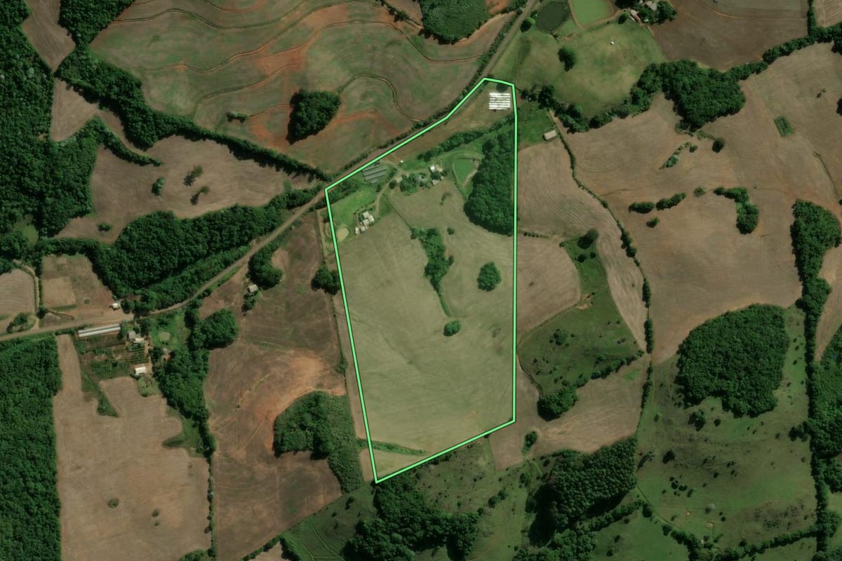 Imagem de satélite do imóvel rural em Machadinho (RS), com o contorno declarado no CAR desenhado por cima.