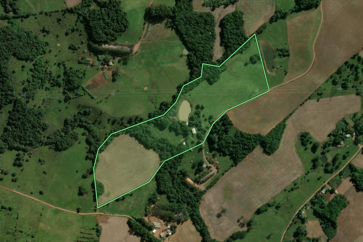 Imagem de satélite do imóvel rural em Machadinho (RS), com o contorno declarado no CAR desenhado por cima.