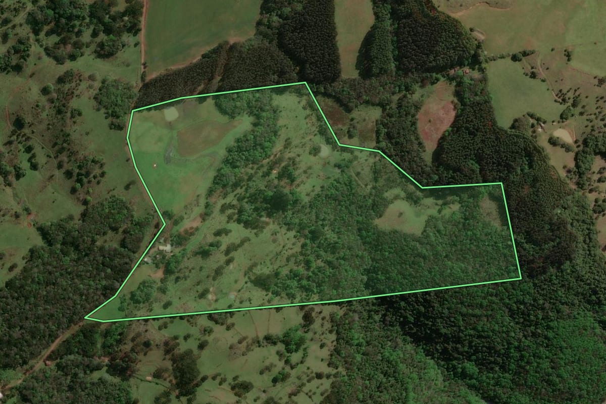 Imagem de satélite do imóvel rural em Machadinho (RS), com o contorno declarado no CAR desenhado por cima.