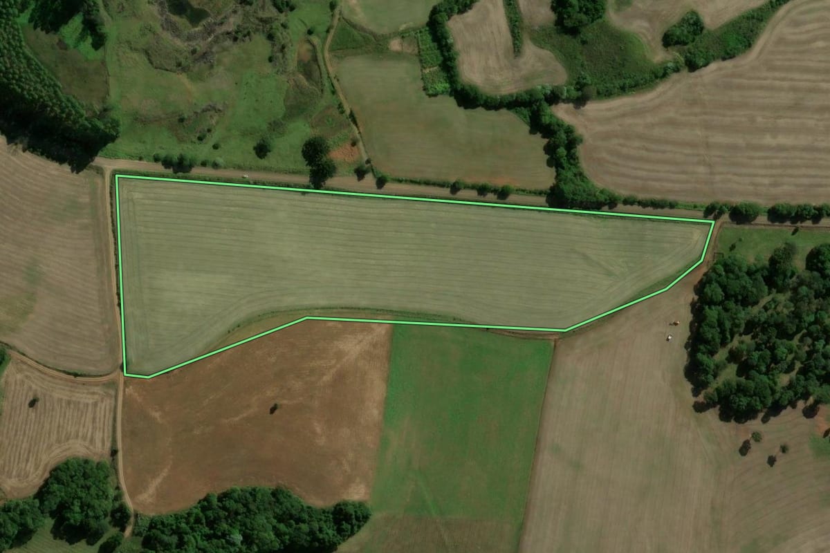 Imagem de satélite do imóvel rural em Machadinho (RS), com o contorno declarado no CAR desenhado por cima.