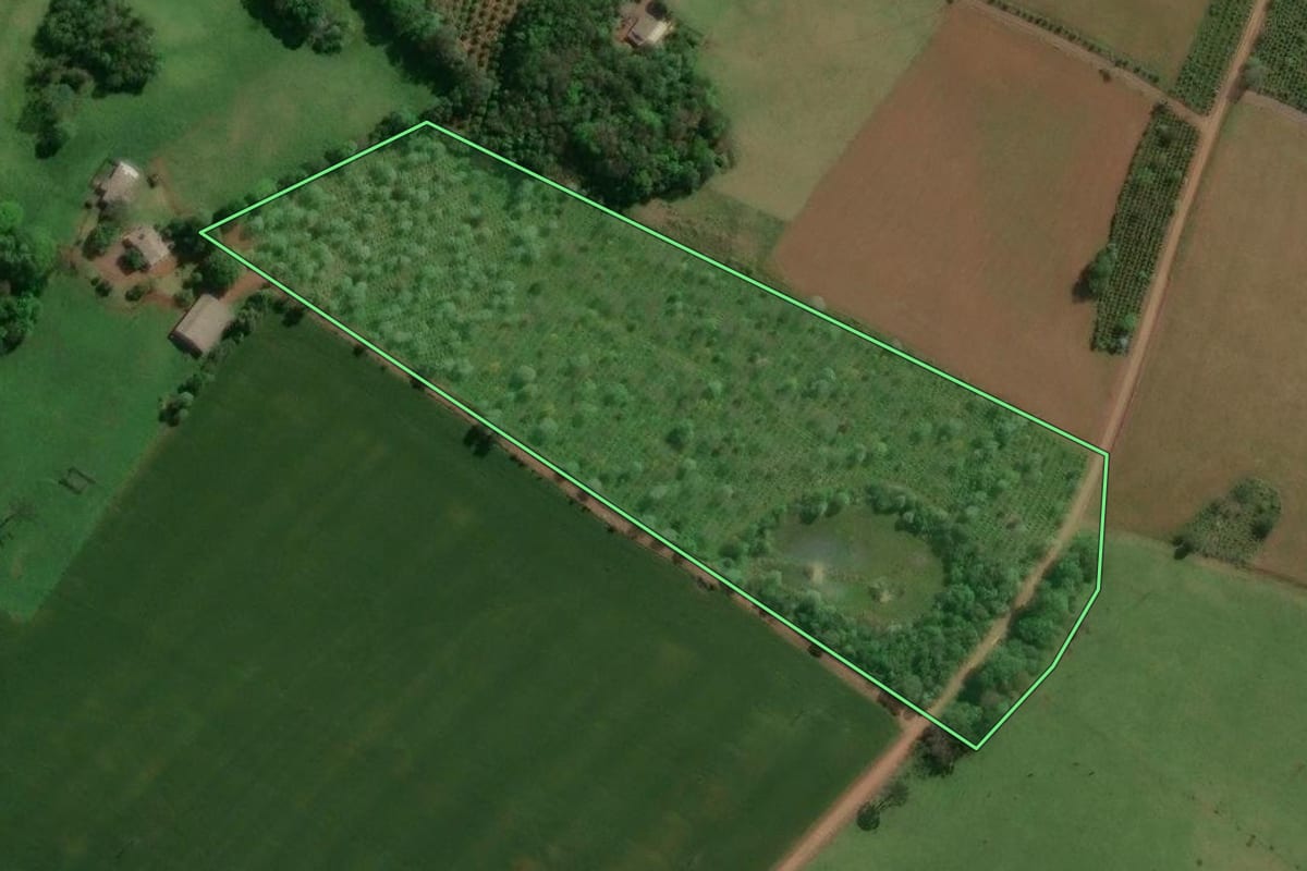 Imagem de satélite do imóvel rural em Machadinho (RS), com o contorno declarado no CAR desenhado por cima.