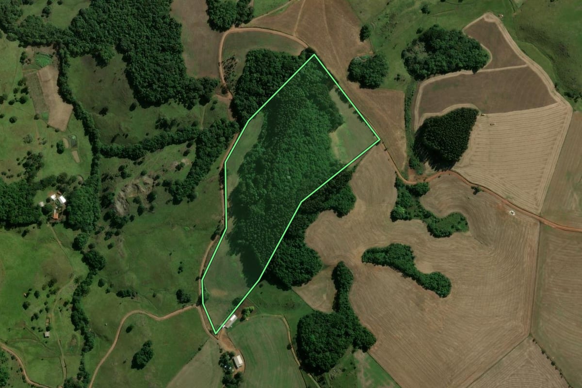 Imagem de satélite do imóvel rural em Machadinho (RS), com o contorno declarado no CAR desenhado por cima.