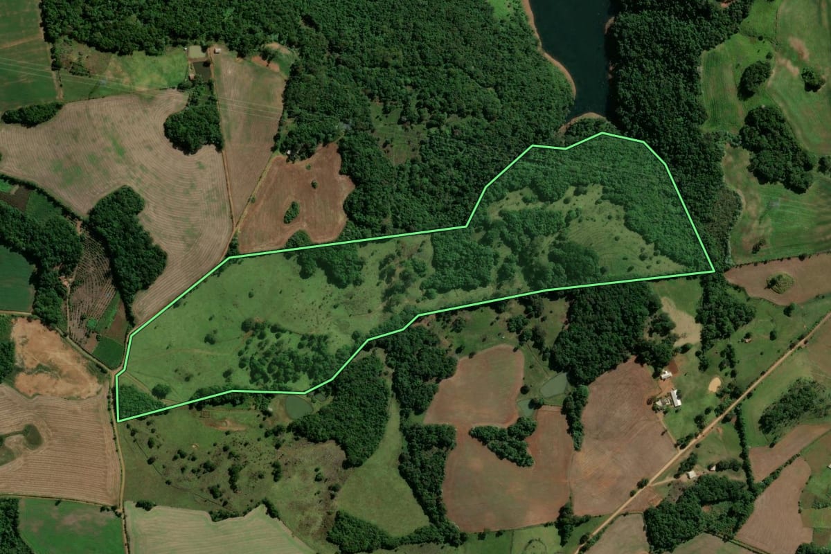 Imagem de satélite do imóvel rural em Machadinho (RS), com o contorno declarado no CAR desenhado por cima.