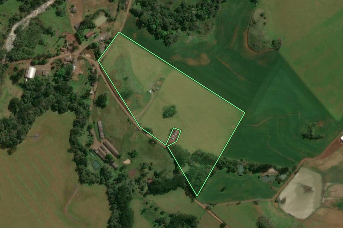 Imagem de satélite do imóvel rural em Machadinho (RS), com o contorno declarado no CAR desenhado por cima.