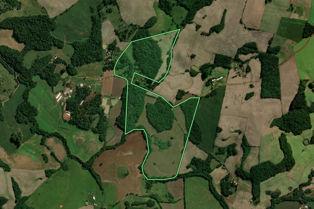 Imagem de satélite do imóvel rural em Machadinho (RS), com o contorno declarado no CAR desenhado por cima.