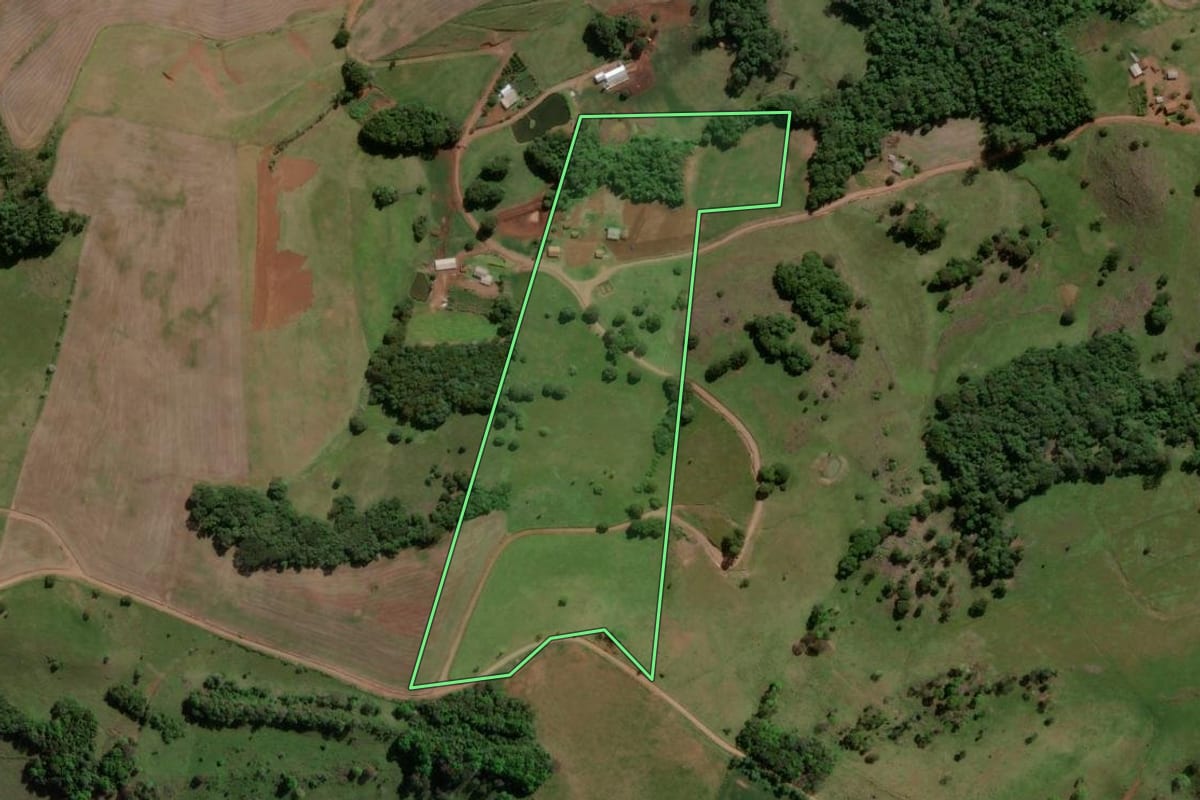 Imagem de satélite do imóvel rural em Machadinho (RS), com o contorno declarado no CAR desenhado por cima.