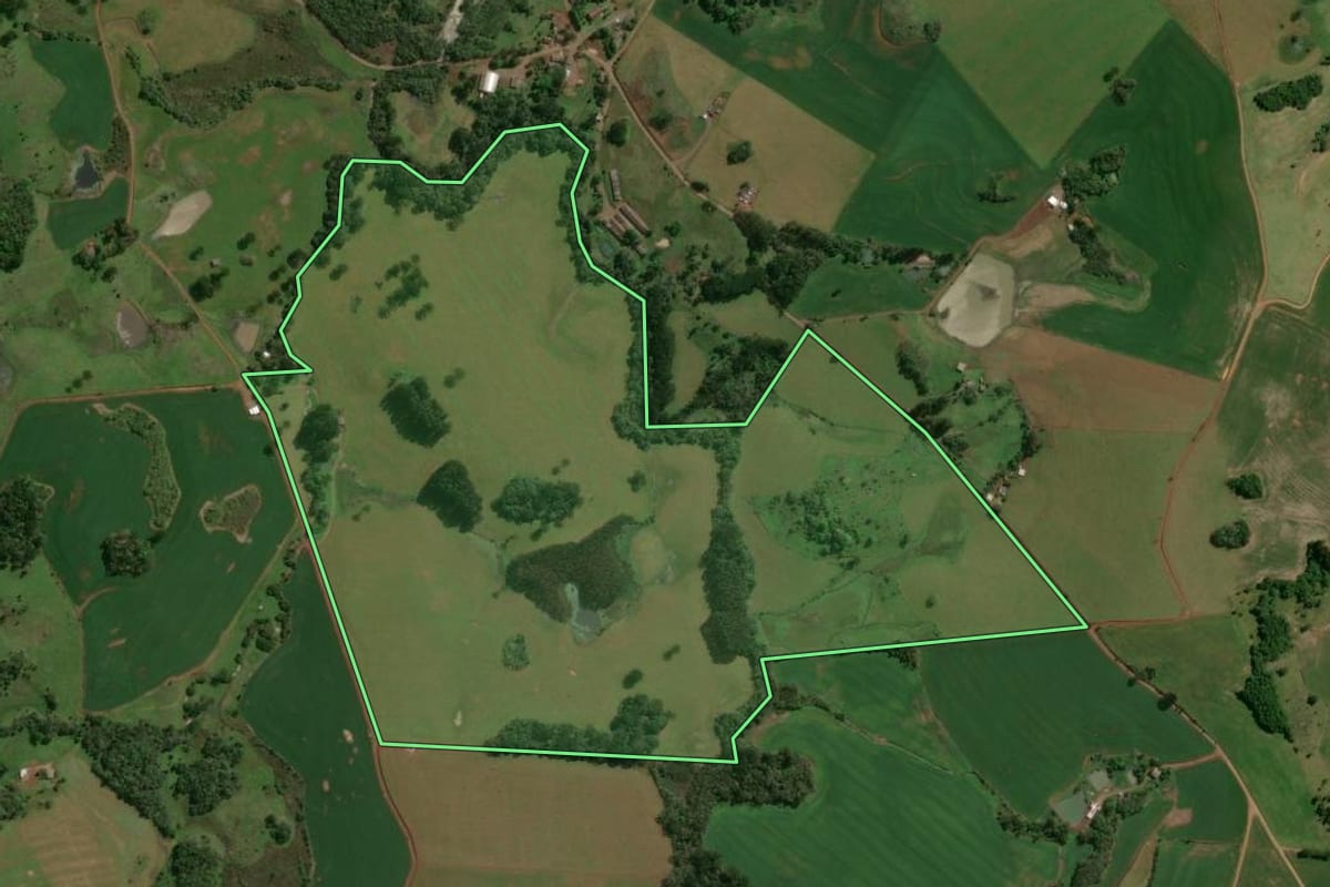 Imagem de satélite do imóvel rural em Machadinho (RS), com o contorno declarado no CAR desenhado por cima.