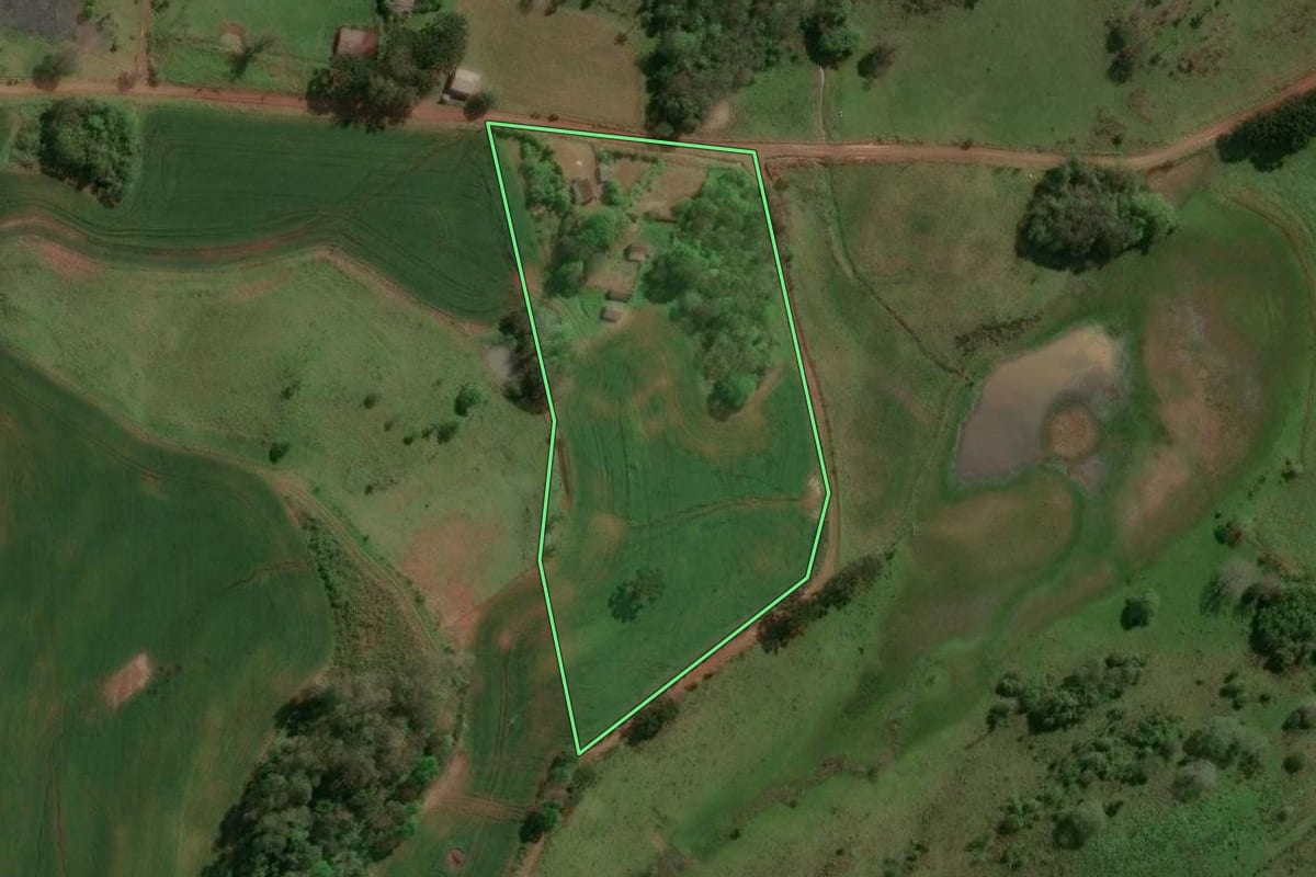 Imagem de satélite do imóvel rural em Machadinho (RS), com o contorno declarado no CAR desenhado por cima.