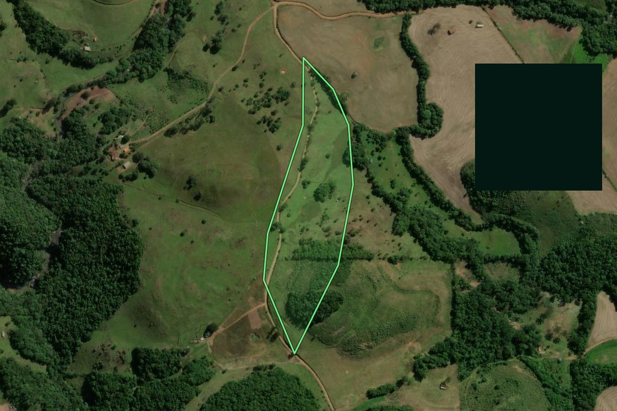 Imagem de satélite do imóvel rural em Machadinho (RS), com o contorno declarado no CAR desenhado por cima.