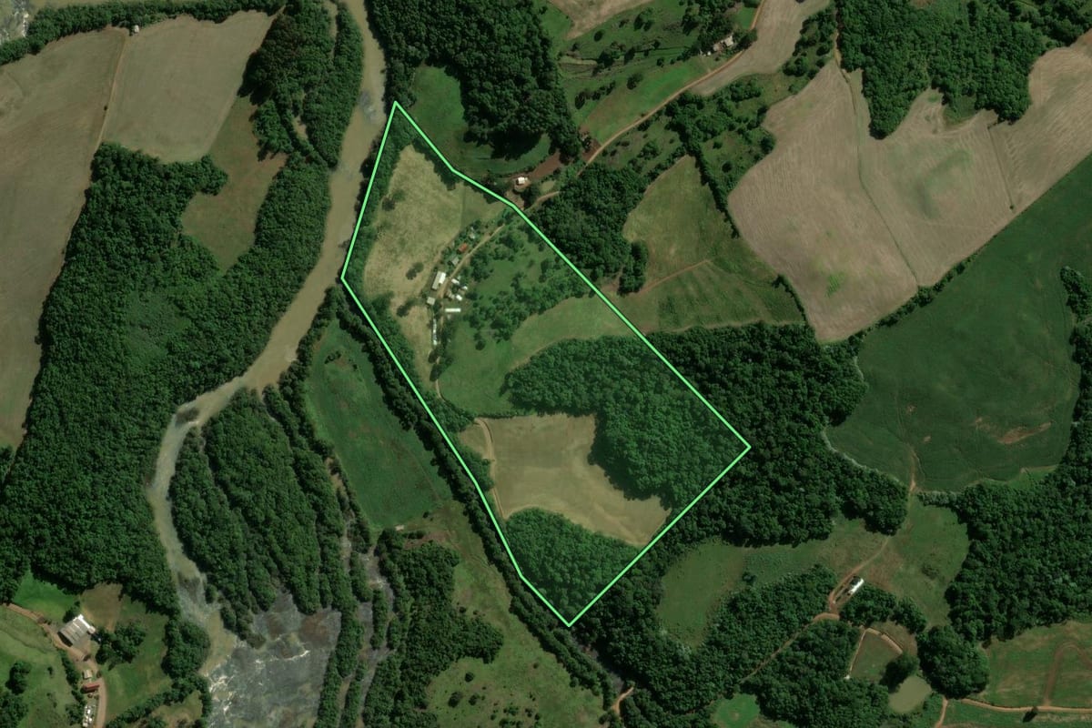 Imagem de satélite do imóvel rural em Machadinho (RS), com o contorno declarado no CAR desenhado por cima.