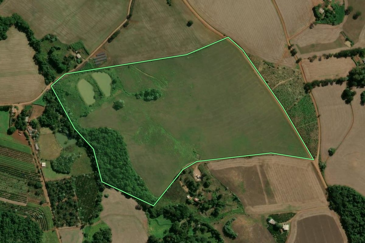 Imagem de satélite do imóvel rural em Machadinho (RS), com o contorno declarado no CAR desenhado por cima.