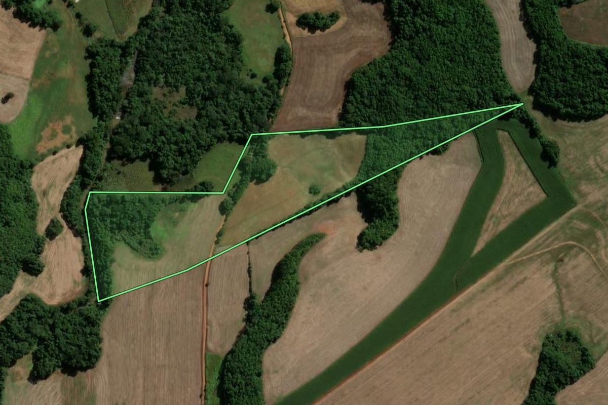 Imagem de satélite do imóvel rural em Machadinho (RS), com o contorno declarado no CAR desenhado por cima.