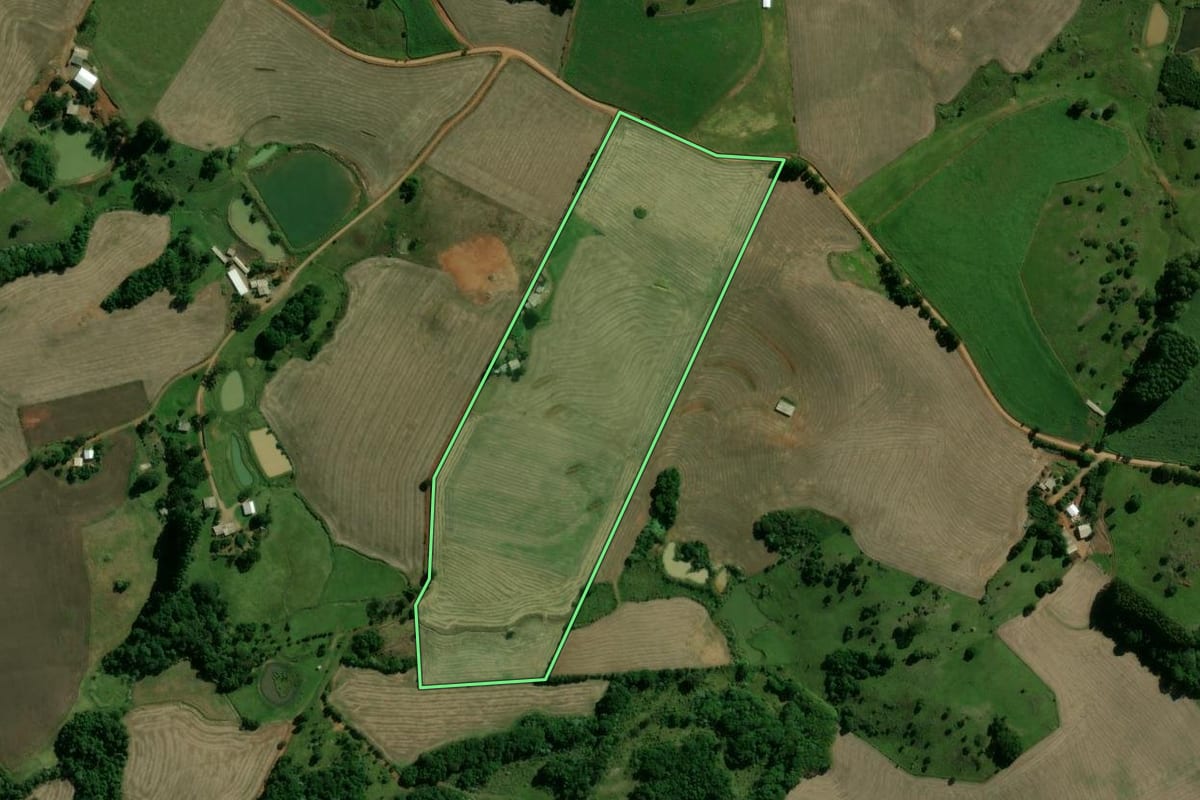 Imagem de satélite do imóvel rural em Machadinho (RS), com o contorno declarado no CAR desenhado por cima.
