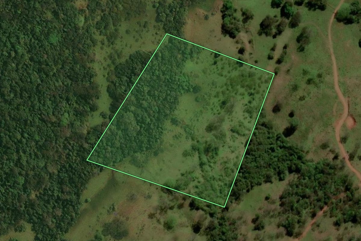 Imagem de satélite do imóvel rural em Maçambará (RS), com o contorno declarado no CAR desenhado por cima.