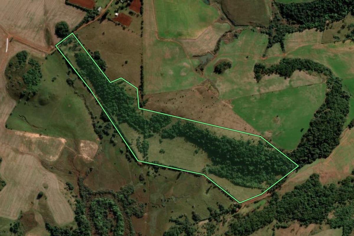 Imagem de satélite do imóvel rural em Maçambará (RS), com o contorno declarado no CAR desenhado por cima.