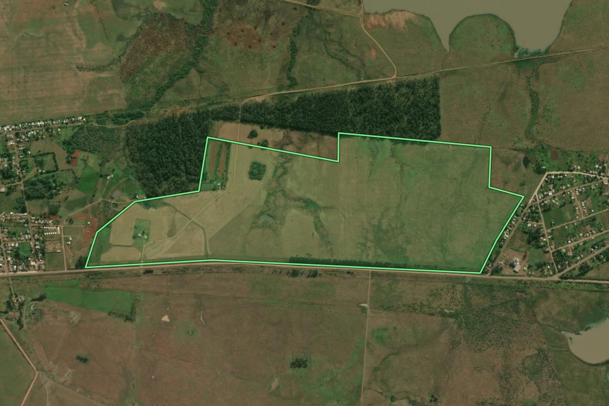 Imagem de satélite do imóvel rural em Maçambará (RS), com o contorno declarado no CAR desenhado por cima.