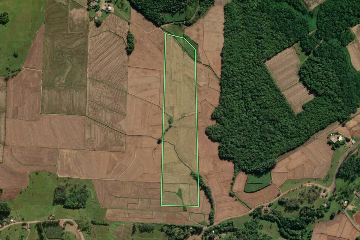 Imagem de satélite do imóvel rural em Mampituba (RS), com o contorno declarado no CAR desenhado por cima.