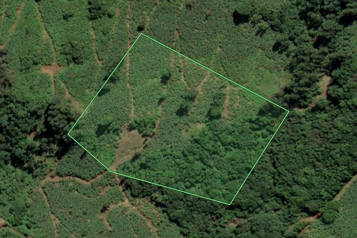 Imagem de satélite do imóvel rural em Mampituba (RS), com o contorno declarado no CAR desenhado por cima.