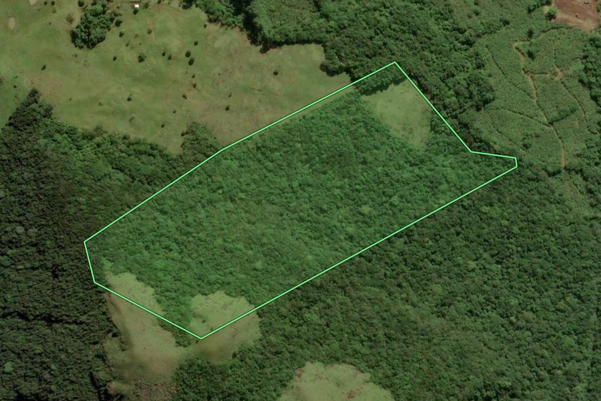 Imagem de satélite do imóvel rural em Mampituba (RS), com o contorno declarado no CAR desenhado por cima.