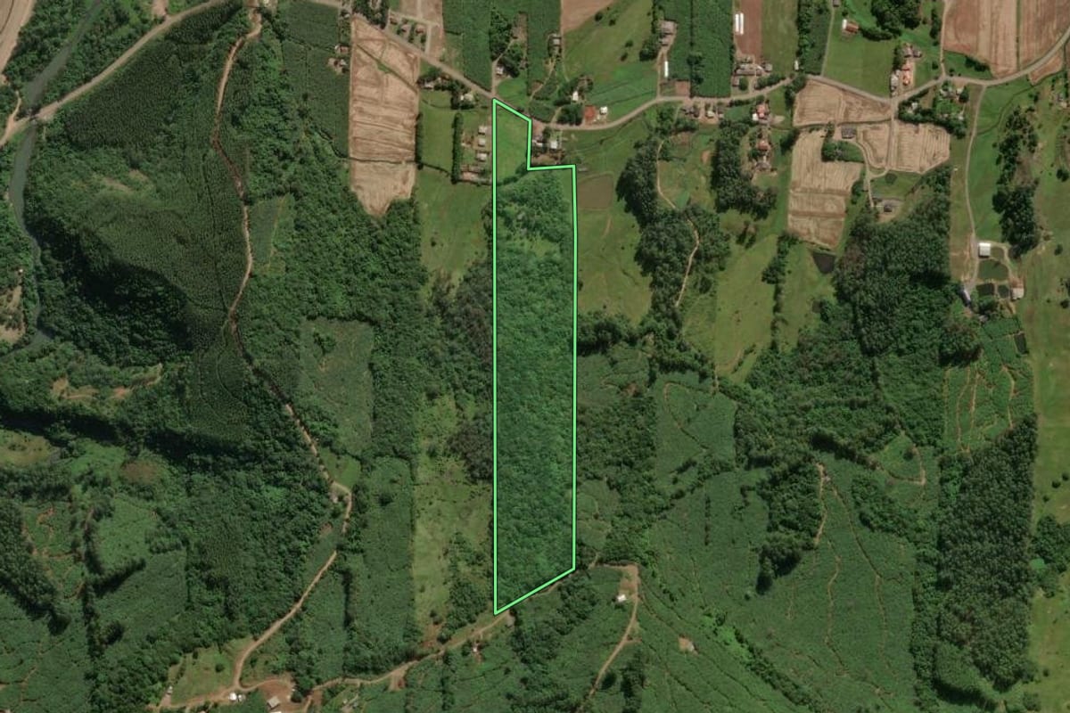 Imagem de satélite do imóvel rural em Mampituba (RS), com o contorno declarado no CAR desenhado por cima.