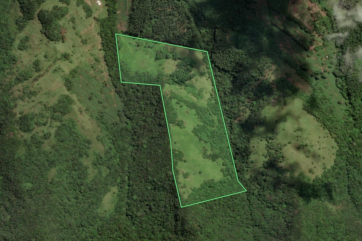 Imagem de satélite do imóvel rural em Mampituba (RS), com o contorno declarado no CAR desenhado por cima.