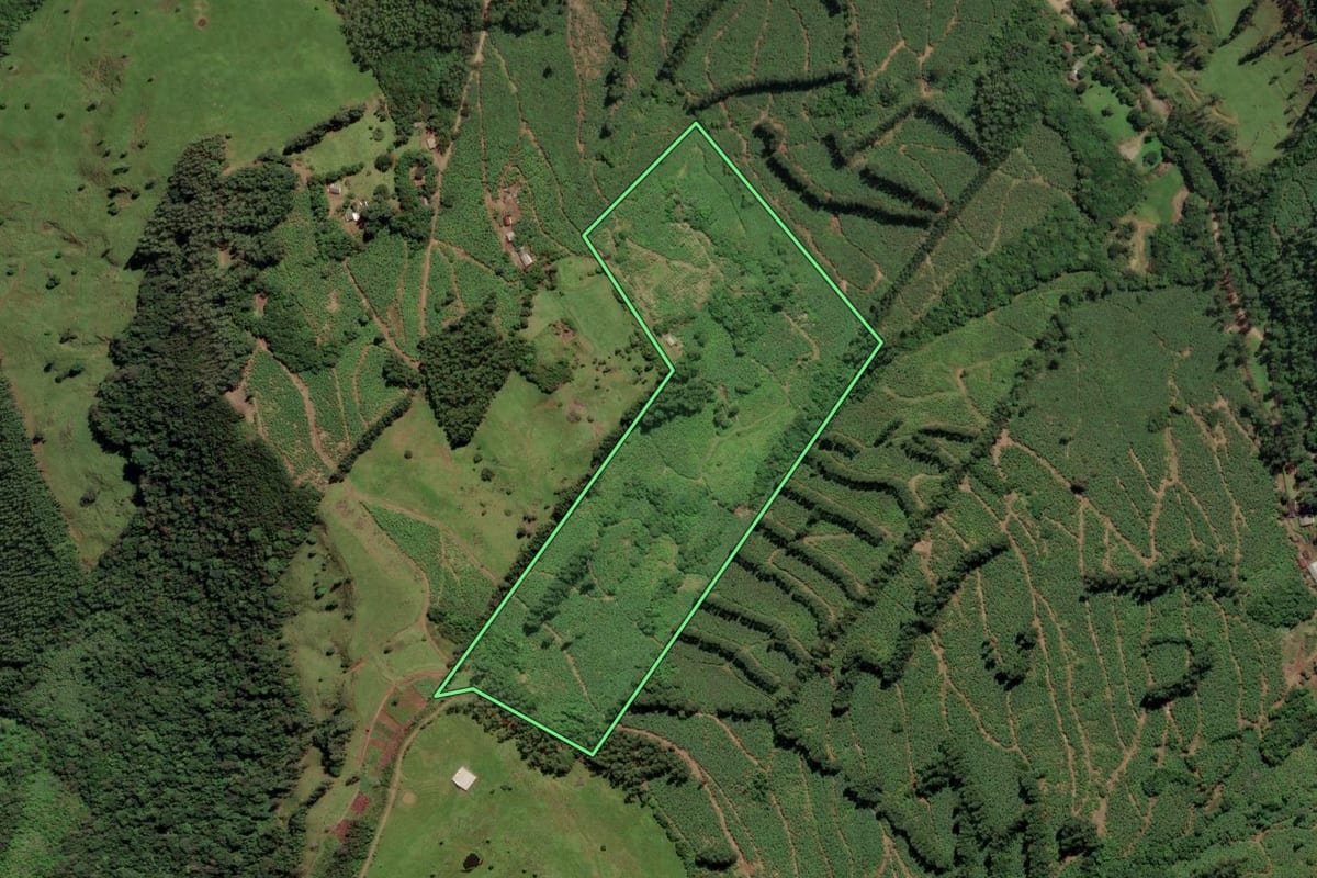 Imagem de satélite do imóvel rural em Mampituba (RS), com o contorno declarado no CAR desenhado por cima.
