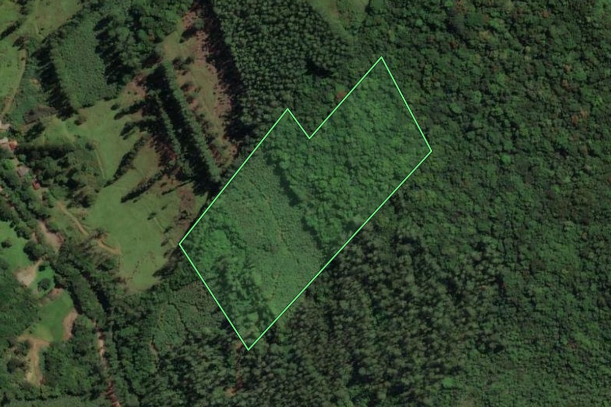 Imagem de satélite do imóvel rural em Mampituba (RS), com o contorno declarado no CAR desenhado por cima.