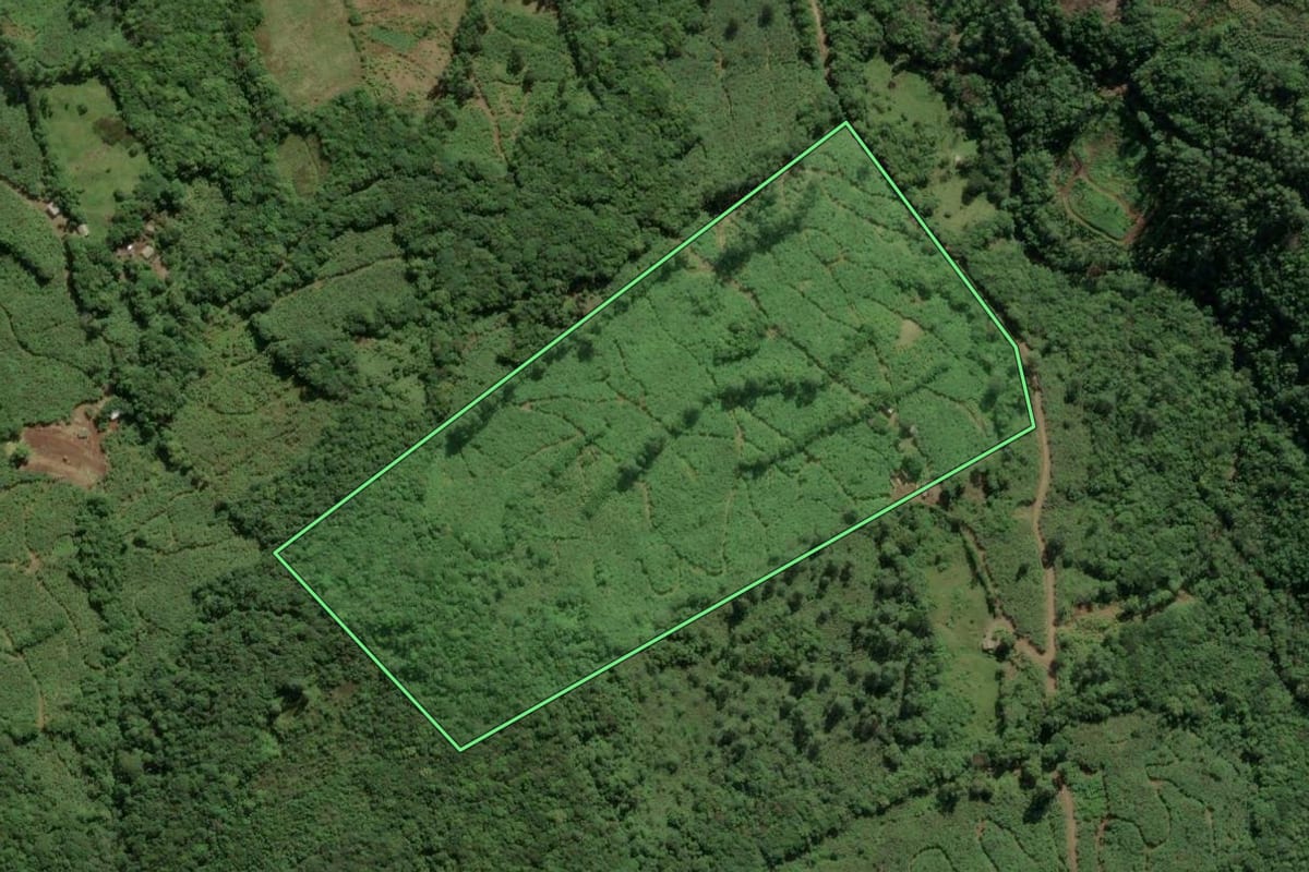Imagem de satélite do imóvel rural em Mampituba (RS), com o contorno declarado no CAR desenhado por cima.