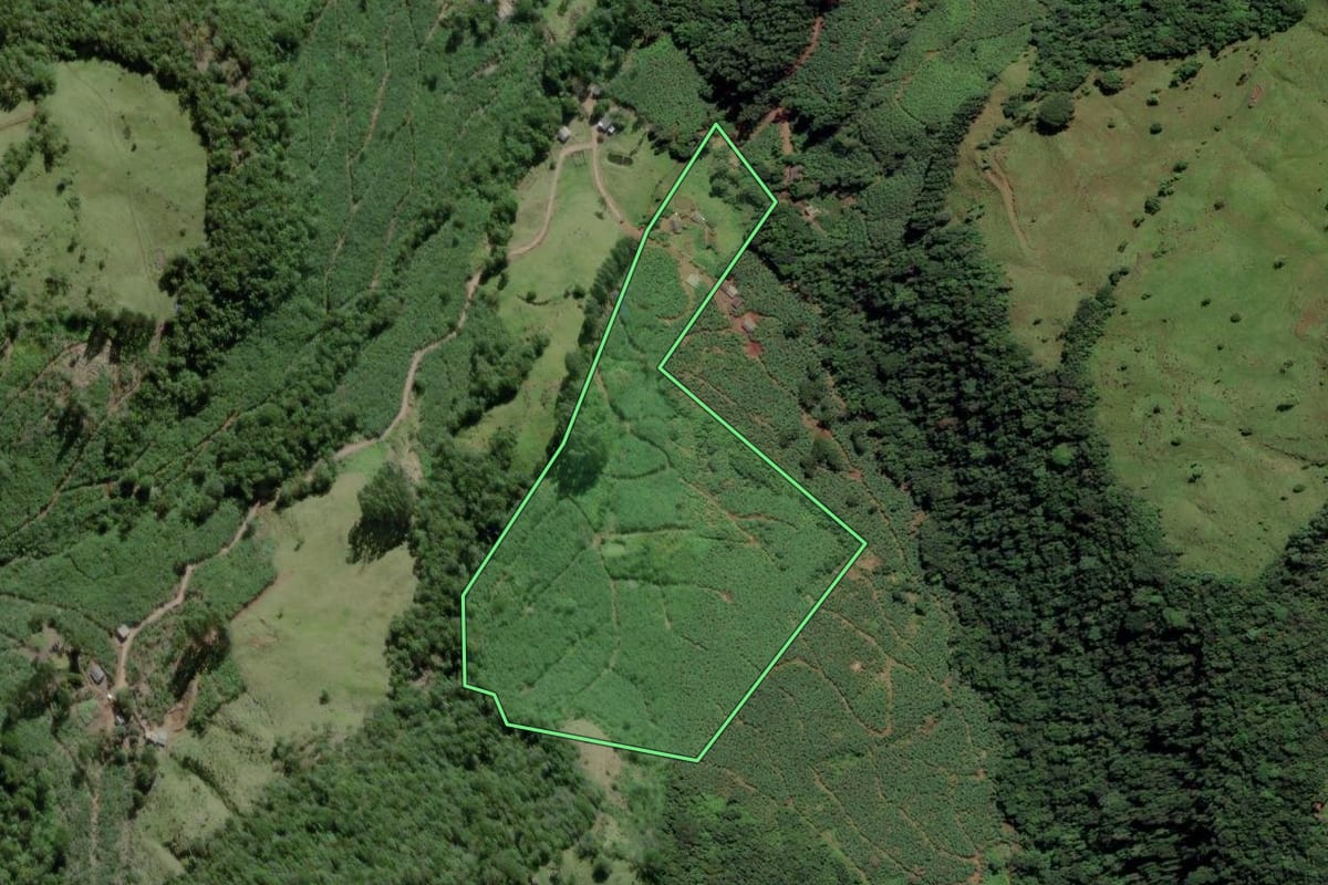 Imagem de satélite do imóvel rural em Mampituba (RS), com o contorno declarado no CAR desenhado por cima.