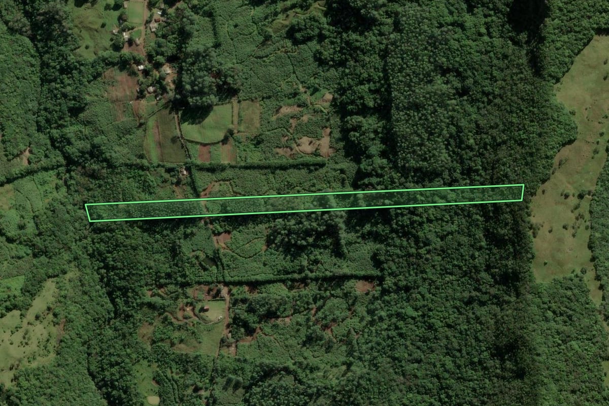 Imagem de satélite do imóvel rural em Mampituba (RS), com o contorno declarado no CAR desenhado por cima.