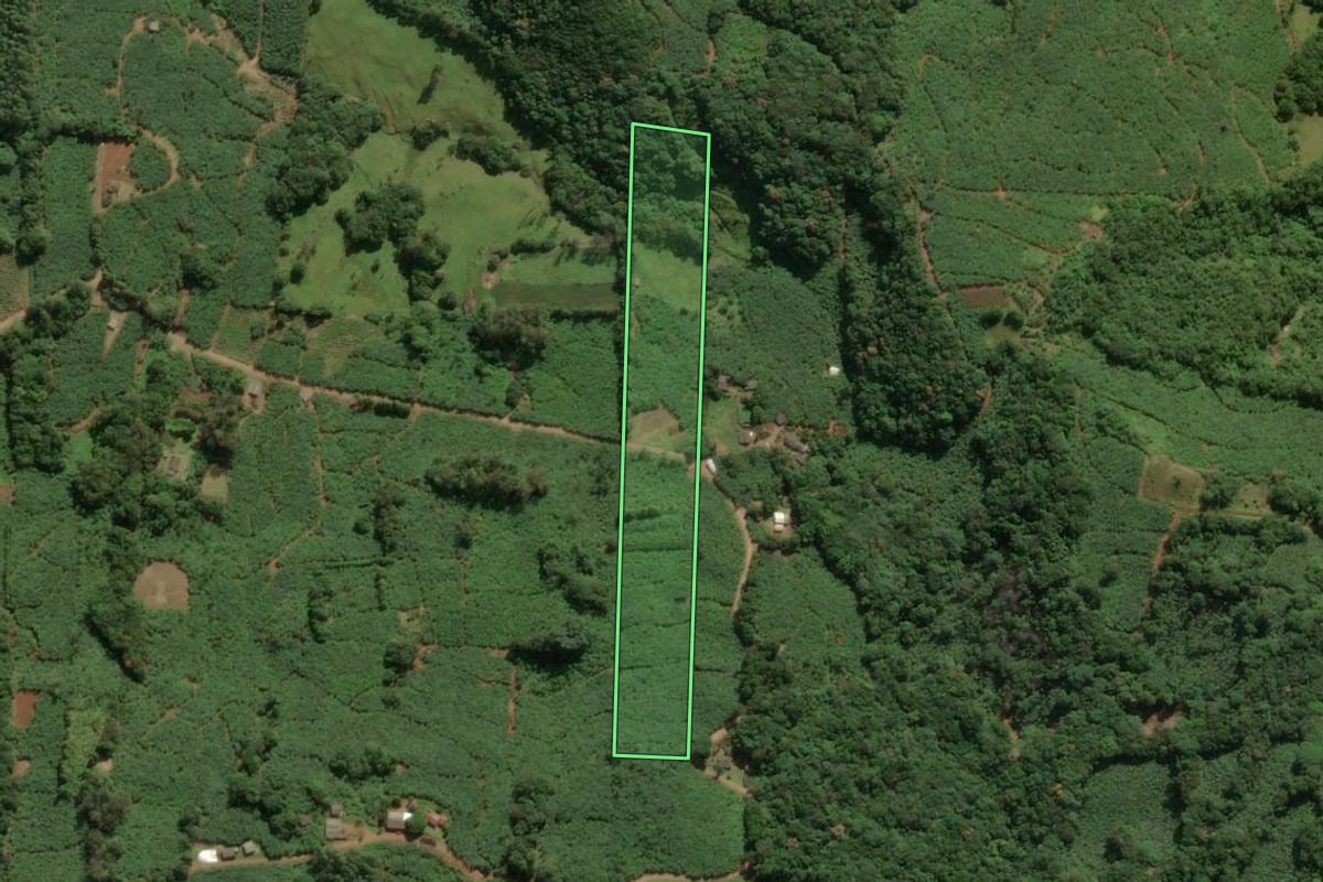 Imagem de satélite do imóvel rural em Mampituba (RS), com o contorno declarado no CAR desenhado por cima.
