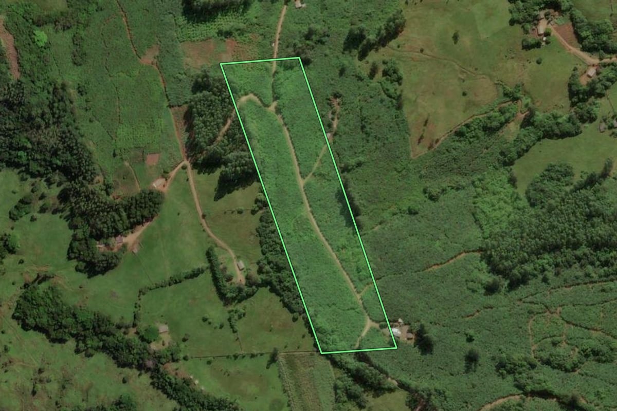 Imagem de satélite do imóvel rural em Mampituba (RS), com o contorno declarado no CAR desenhado por cima.