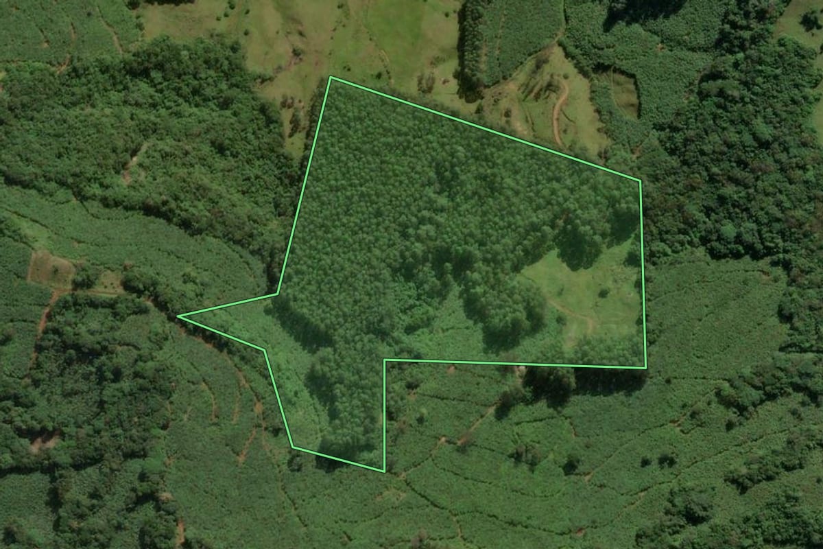 Imagem de satélite do imóvel rural em Mampituba (RS), com o contorno declarado no CAR desenhado por cima.
