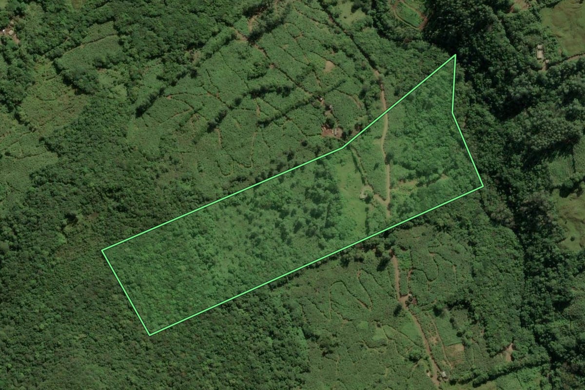 Imagem de satélite do imóvel rural em Mampituba (RS), com o contorno declarado no CAR desenhado por cima.