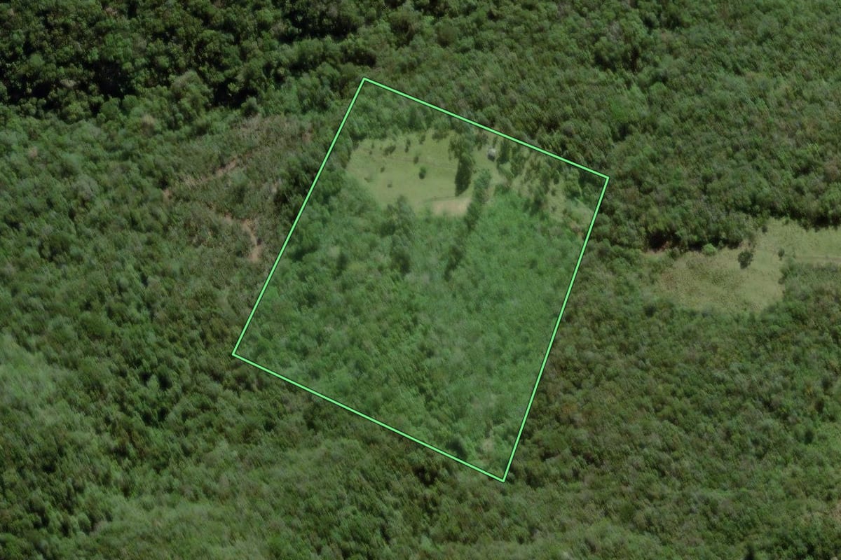 Imagem de satélite do imóvel rural em Mampituba (RS), com o contorno declarado no CAR desenhado por cima.