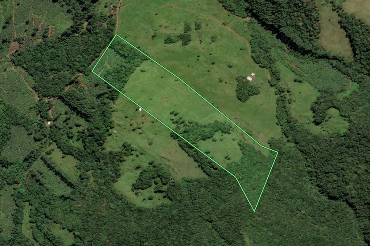 Imagem de satélite do imóvel rural em Mampituba (RS), com o contorno declarado no CAR desenhado por cima.