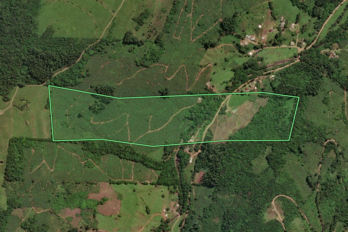 Imagem de satélite do imóvel rural em Mampituba (RS), com o contorno declarado no CAR desenhado por cima.