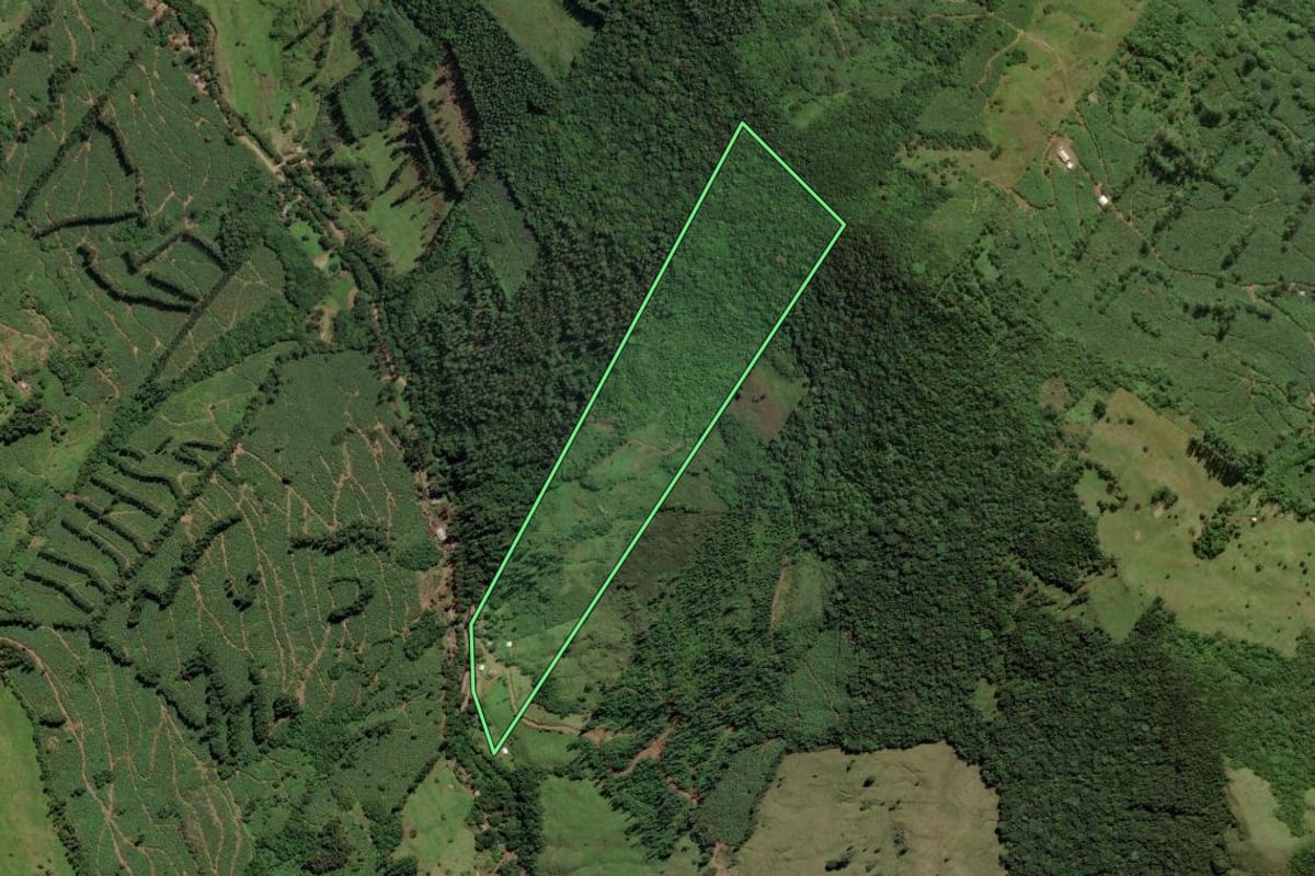 Imagem de satélite do imóvel rural em Mampituba (RS), com o contorno declarado no CAR desenhado por cima.